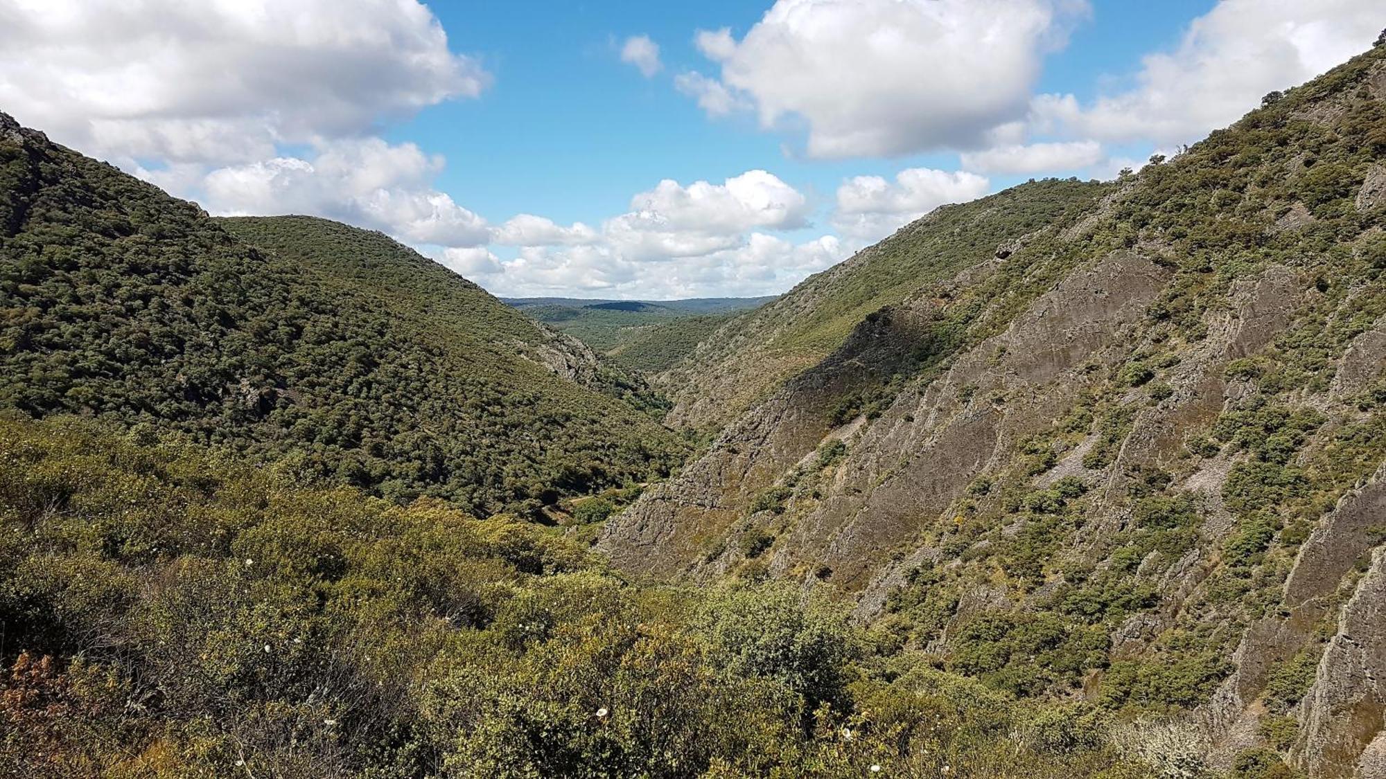Casa Con Piscina En Parque Nacional De Cabaneros Navas de Estena Buitenkant foto